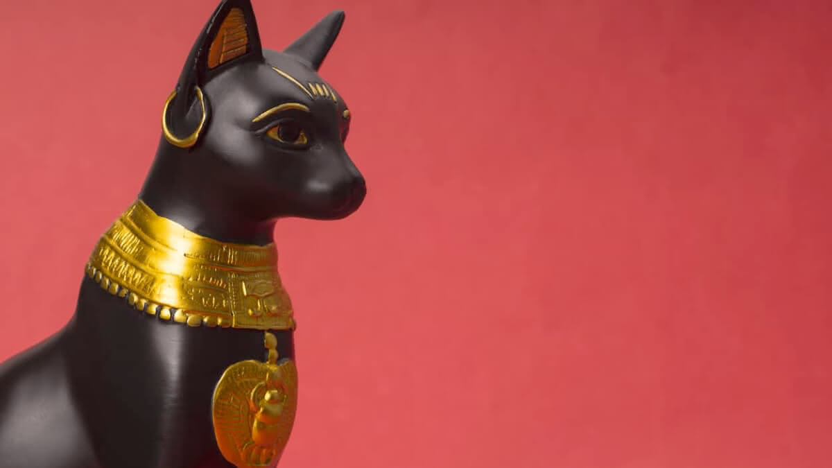 Gato do Egito: por que eles eram adorados?