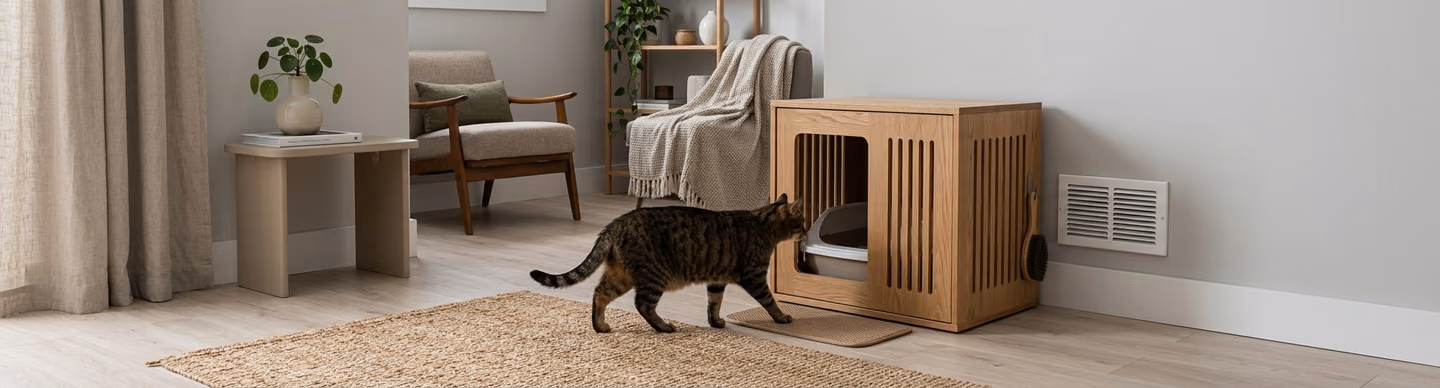 Featured image of post Caixa de areia do gato: onde colocar, quantas ter e como integrar na casa